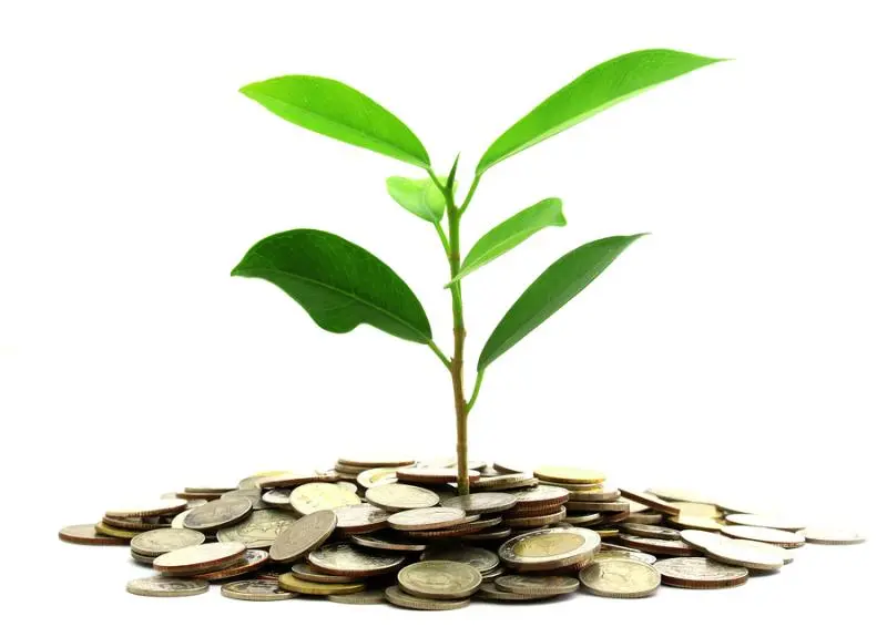 Инвестиции SKF в сохранение экологии | Свежие новости в Казани