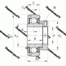 Подшипник GRAE 25-NPP-B в Казани